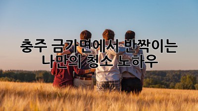 충주 금가면에서 반짝이는 나만의 청소 노하우! ✨